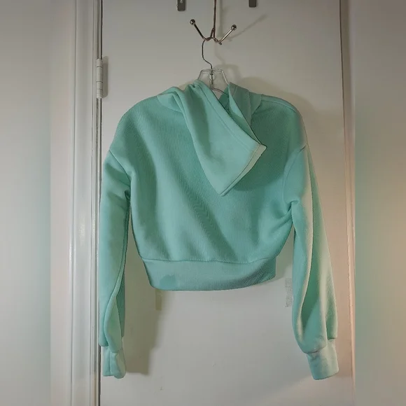 Seafoam Green "Psycho" Cropped Hoodie. Size S. NWT!!! - Picture 4 of 5